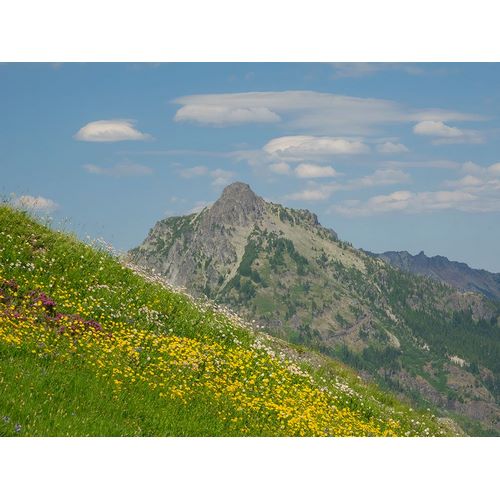 Wild, Jamie and Judy 아티스트의 Washington State-Central Cascades-Rampart Ridge-Alta Mountain and wildflowers작품입니다.